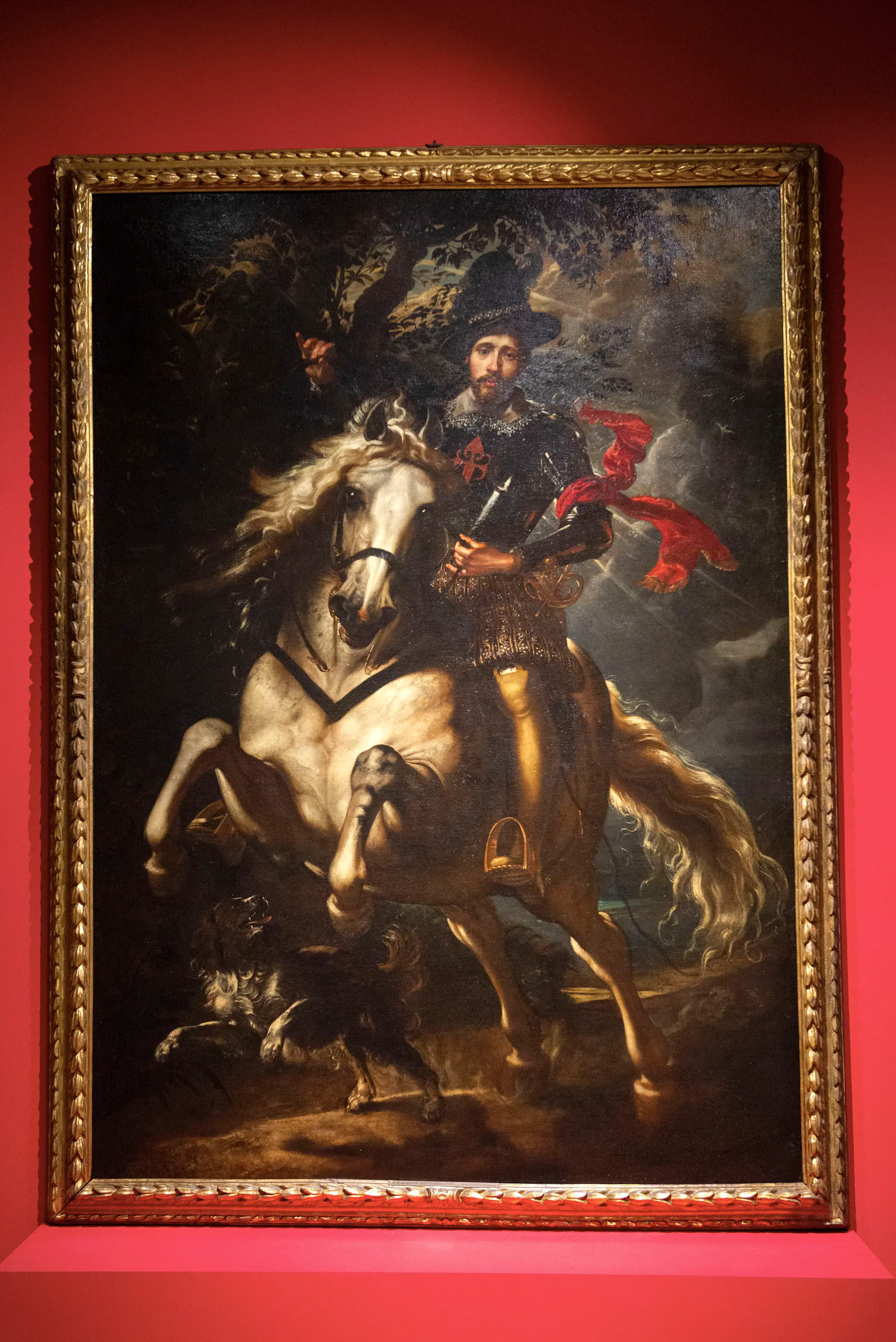 Il Cavaliere di Rubens arriva in Pinacoteca