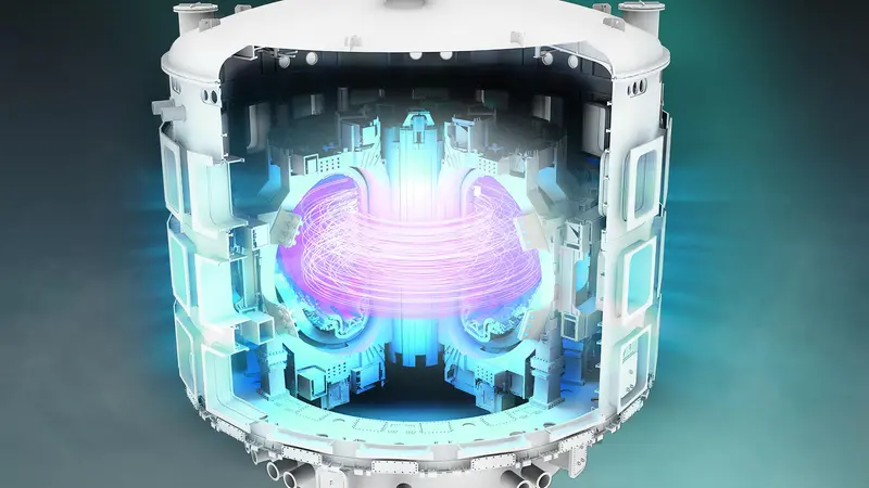 Uno schema del tokamak col plasma all'interno a 150 milioni di gradi