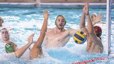 Pallanuoto, gli scatti di An Brescia-Ferencvaros