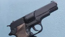 Per sparare agli animali usata una pistola -  © www.giornaledibrescia.it