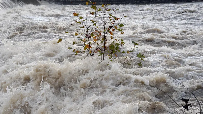 Il fiume Serchio in piena nel comune di San Giuliano Terme,(Pisa), 11 novembre 2014. ANSA/Franco Silvi