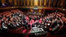 L'aula del Senato - Foto Ansa © www.giornaledibrescia.it
