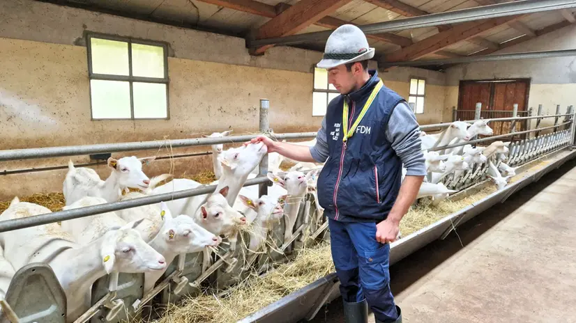 Stefano Pasinetti, 24 anni - Foto Lisa Foresta © www.giornaledibrescia.it