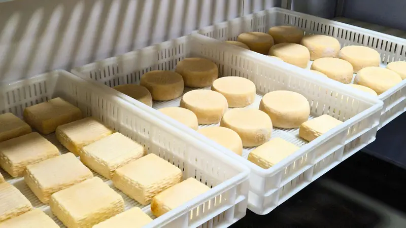 Nel piccolo caseificio si producono anche formaggelle - Foto Lisa Foresta © www.giornaledibrescia.it