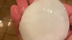 Nel 2023 chicchi di grandine grandi come mele