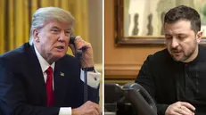 COMBO Trump (s) + Zelensky (d)