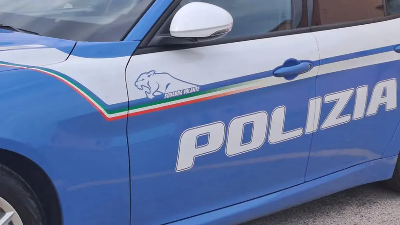 Questore Ancona, Polizia auto generica