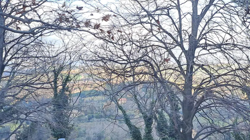 Macerata foto generiche città