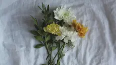Un bouquet di crisantemi