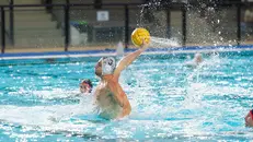 Stefano Guerrato - © www.giornaledibrescia.it