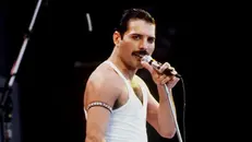 Freddie Mercury, frontman dei Queen