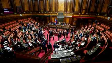 L'aula del Senato - Foto Ansa © www.giornaledibrescia.it