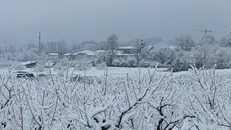 Una nevicata nel Bresciano - © www.giornaledibrescia.it