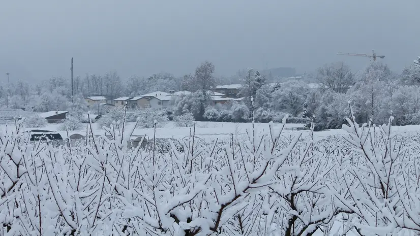 Una nevicata nel Bresciano - © www.giornaledibrescia.it