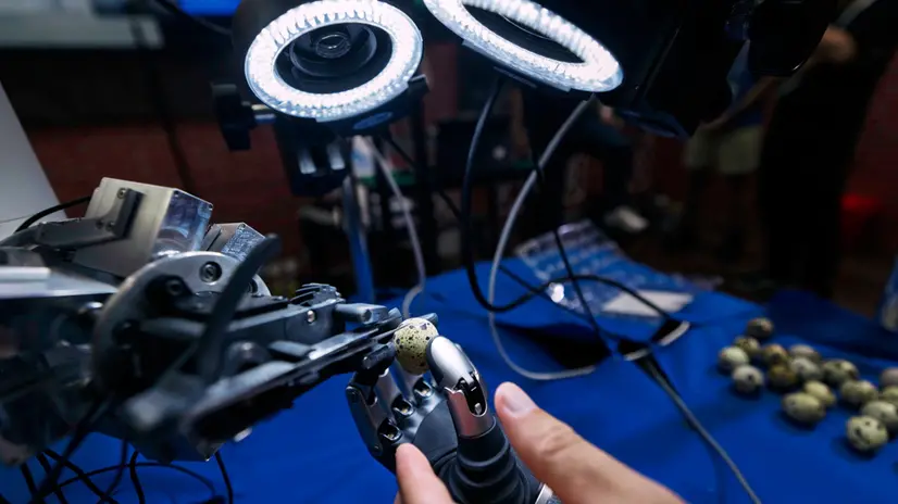 epa12268143 A microsurgery robot peals eggs during the WAIC exhibition and conference, in Shanghai, China, 28 July 2025. The World Artificial Intelligence Conference (WAIC) will be held from 26 to 29 July 2025. It is supposed to be one of the most influential AI events in the global tech, science, and industry ecosystem. EPA/ALEX PLAVEVSKI