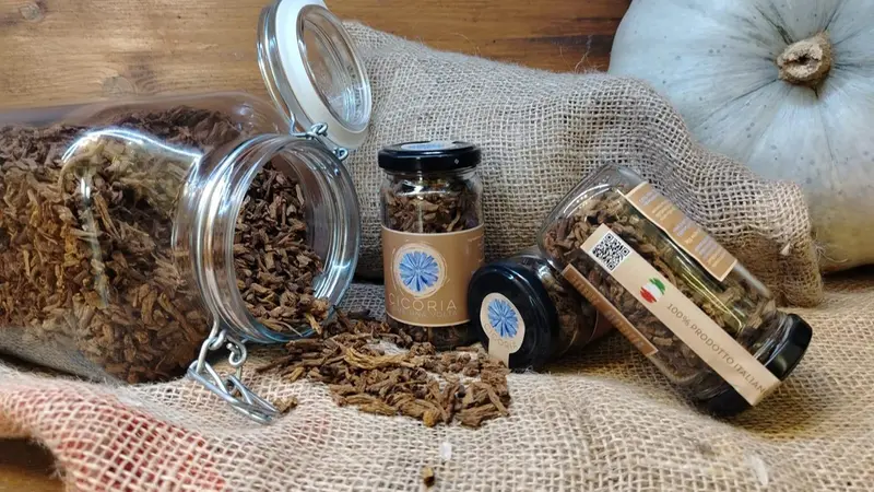 Prodotti a base di cicoria