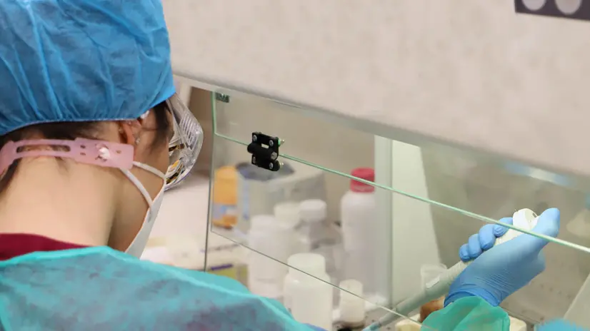 Operativo 7 giorni su 7 e 24 ore su 24. Al suo interno, attualmente, vengono refertati – con risultati tra le 24 e le 36 ore – quotidianamente circa 1200 tamponi molecolari; con però un potenziale, praticamente doppio, di 3mila test giornalieri. Sono i numeri che raccontano, in estrema sintesi, la “potenza di fuoco” del laboratorio analisi di biologia e microbiologia molecolare dell’ospedale di Piacenza. Un presidio cruciale per la lotta al covid, ma non solo, i cui spazi sono stati recentemente riqualificati e potenziati. ANSA/US AUSL PIACENZA +++ NO SALES, EDITORIAL USE ONLY +++