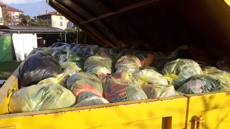 Il container pieno dopo la raccolta degli oratori