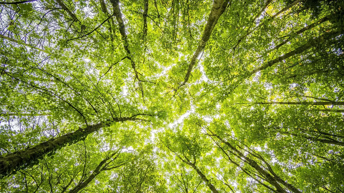 La vera sfida resta allineare gli obiettivi climatici con la sostenibilità sociale