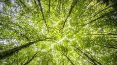 La vera sfida resta allineare gli obiettivi climatici con la sostenibilità sociale