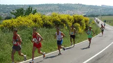 MARATONETI IMPEGNATI NELLA X EDIZIONE DELLA MARATONA DEL GARGANO