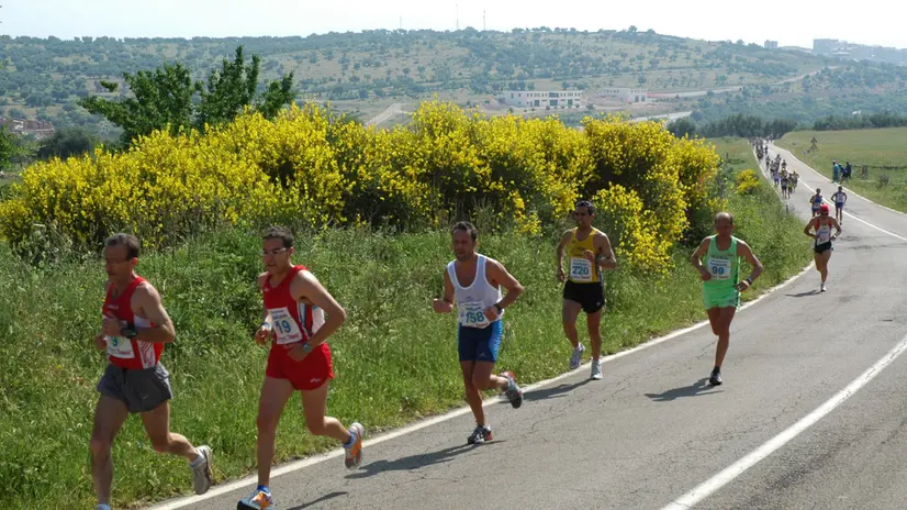 MARATONETI IMPEGNATI NELLA X EDIZIONE DELLA MARATONA DEL GARGANO