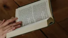 I libri da leggere a novembre