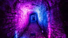 «Mysteria», uno scatto della scorsa edizione - Foto Comune di Brescia