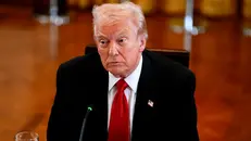 Il presidente degli Stati Uniti Donald Trump - Foto Ansa © www.giornaledibrescia.it