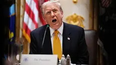 epa12511086 United States President Donald J Trump speaks during a bilateral lunch with Prime Minister of Hungary Viktor Orban in the Cabinet Room of the White House in Washington, DC, USA, 07 November 2025. EPA/AARON SCHWARTZ / POOL