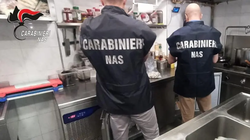 I controlli dei carabinieri del Nas
