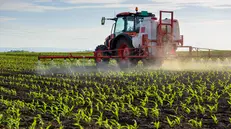 Un trattore in un campo - © www.giornaledibrescia.it