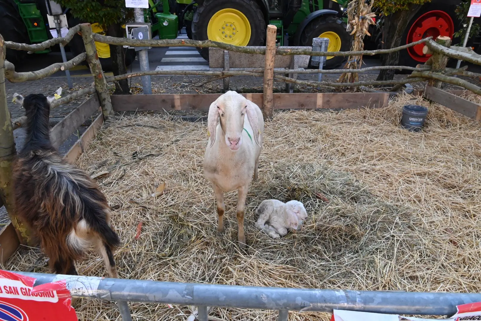 In Piazza con Noi a Borgo San Giacomo