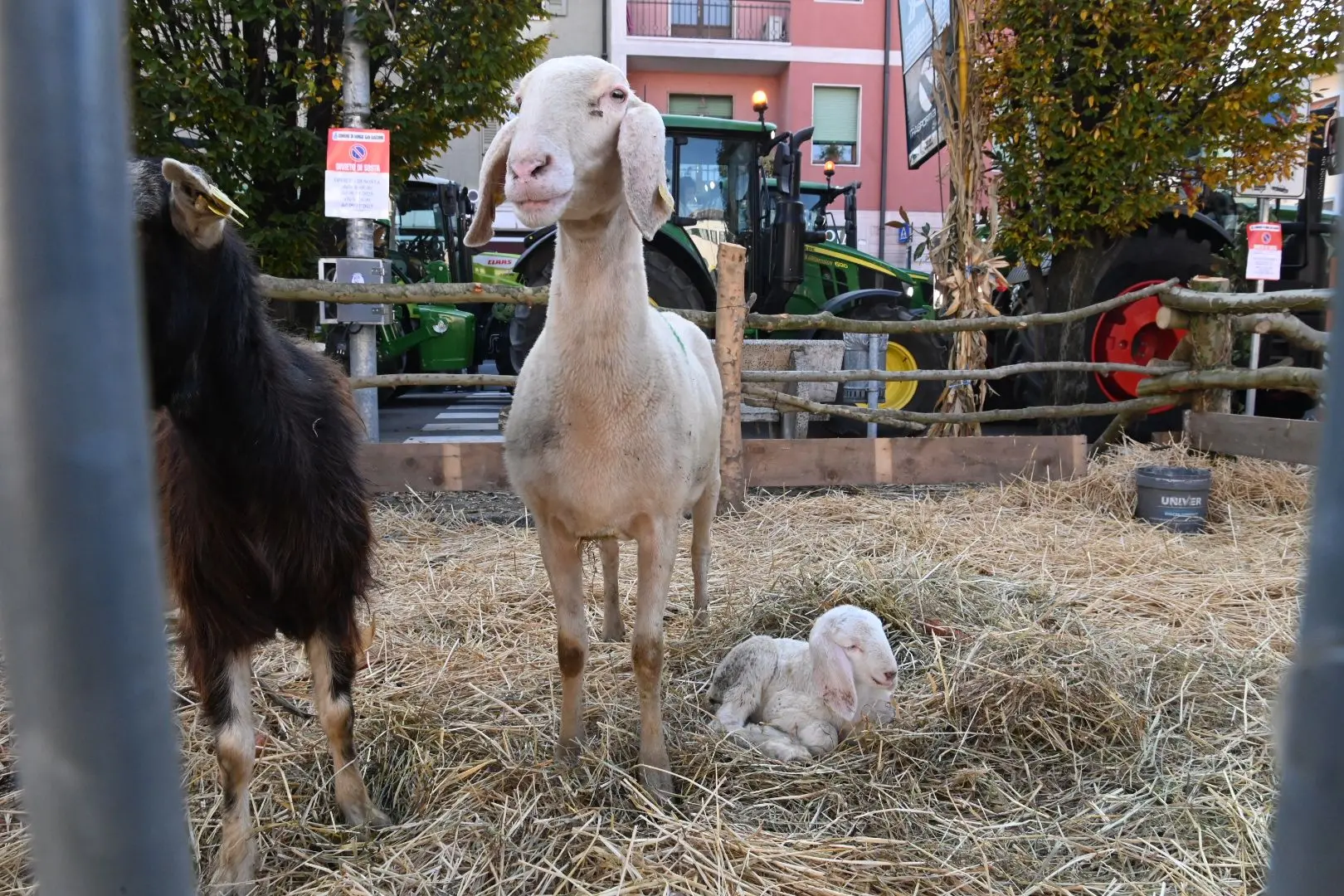 In Piazza con Noi a Borgo San Giacomo