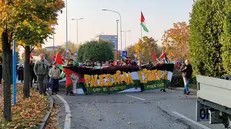 La manifestazione Pro Pal a Brescia