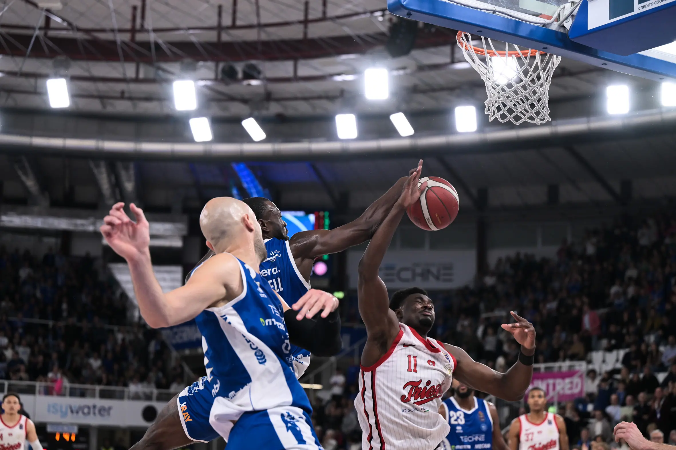 Basket, gli scatti di Germani-Trieste