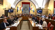 Il Consiglio comunale - Foto Comune di Brescia/Christian Penocchio