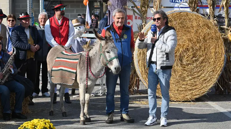 Un asino alla Festa del Ringraziamento di Borgo San Giacomo - Foto Gabriele Strada/Neg © www.giornaledibrescia.it