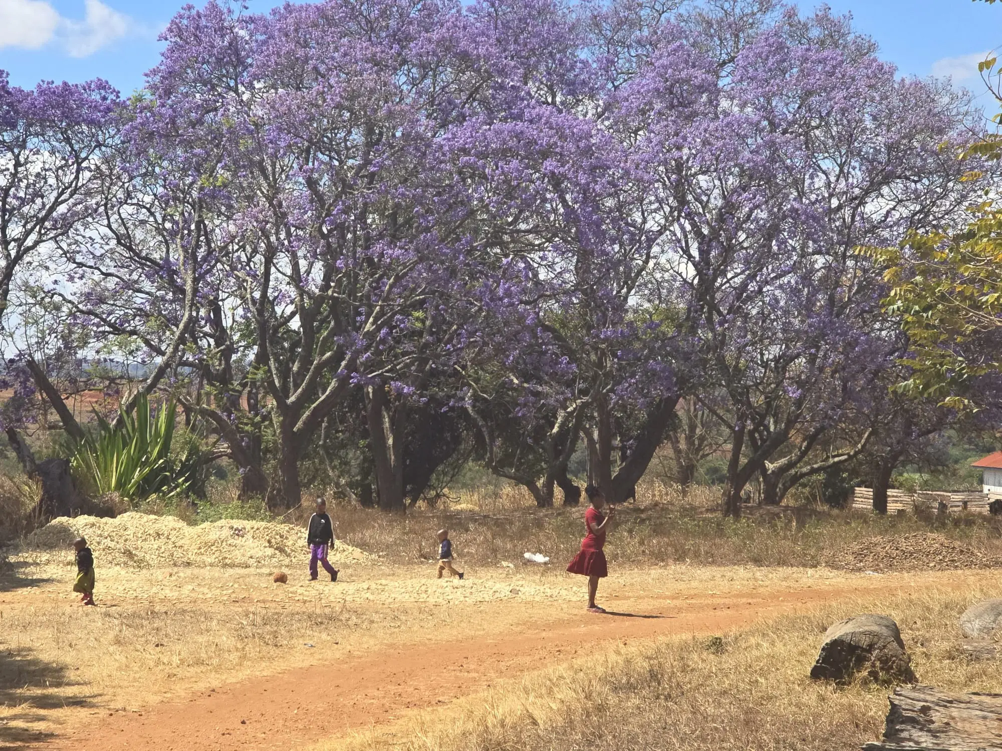 Le attività degli studenti rovatesi in Tanzania
