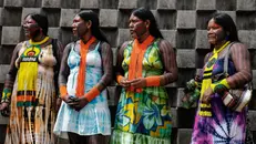 Donna indigene alla Cop30 - Foto Epa © www.giornaledibrescia.it