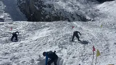 Sono da considerarsi concluse, senza che i corpi siano stati individuati, le ricerche in Nepal dei tre alpinisti della spedizione Dolma Khang 2025 ancora dispersi, tra i quali i due italiani Marco Di Marcello e Markus Kirchler, a una settimana dalla valanga che li ha travolti nella valle dei Rolwaling. Rischio di nuove valanghe, neve sempre più compatta e stanchezza hanno costretto gli sherpa, guidati dal capo della spedizione decimata dall'incidente, Tenjing Phurba, a rinunciare. Lo riferisce Davide Peluzzi, l'himalaysta teramano che in quella vallata è stato tra gli artefici della costruzione della ferrata più alta al mondo. ANSA/FOTO CONCESSE DA DAVIDE PELUZZI +++ NPK +++