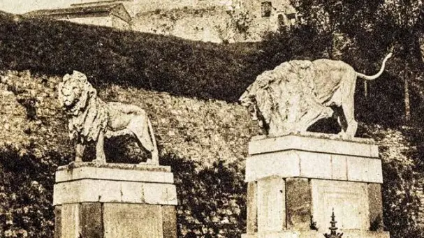 I leoni dello zoo in Castello - Foto Fondazione Negri