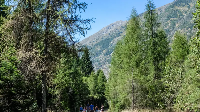 In molti scelgono i sentieri di montagna (Vinadio, Cuneo) per fuggire al caldo torrido della nuova ondata del 20 agosto 2023, i piemontesi trovano rimedi. ANSA/JESSICA PASQUALON