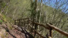 Uno dei passaggi sul sentiero 128A delle rete escursionistica della Lombardia