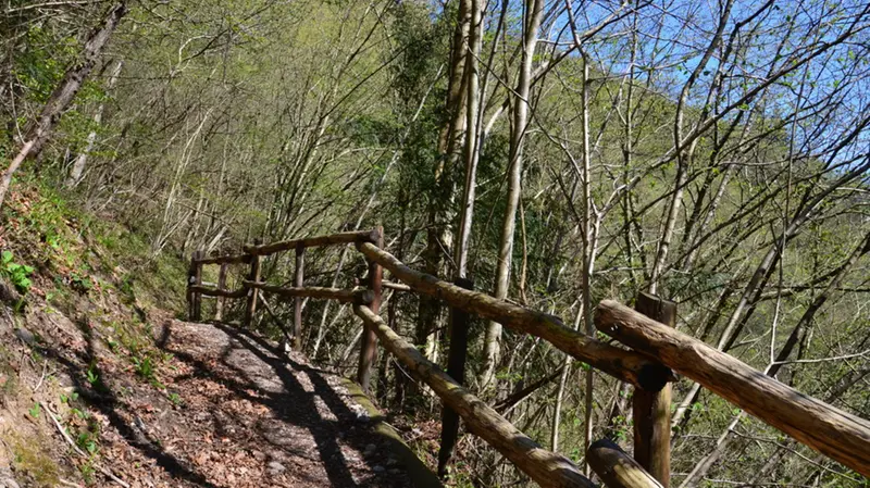 Uno dei passaggi sul sentiero 128A delle rete escursionistica della Lombardia