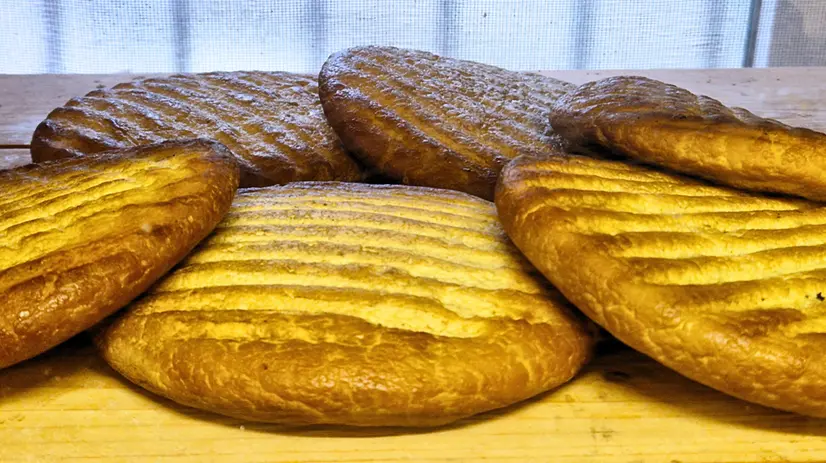 Il Fatulì, formaggio camuno affumicato con legna di pino e ginepro - Foto Lisa Foresta © www.giornaledibrescia.it