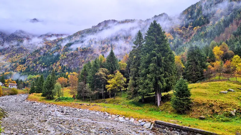 L'autunno abbraccia la Val Saviore - Foto Lisa Foresta © www.giornaledibrescia.it