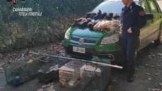 Il sequestro da parte dei Carabinieri tutela forestale
