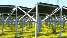 Impianti agrivoltaici - © www.giornaledibrescia.it