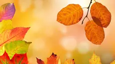 Finiamola con il banalizzare i nostri giorni - © www.giornaledibrescia.it